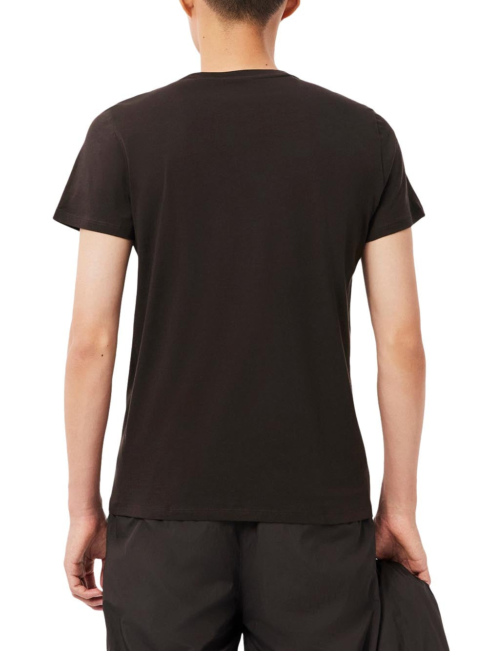 Lacoste T-shirt Uomo Th6709 Marrone